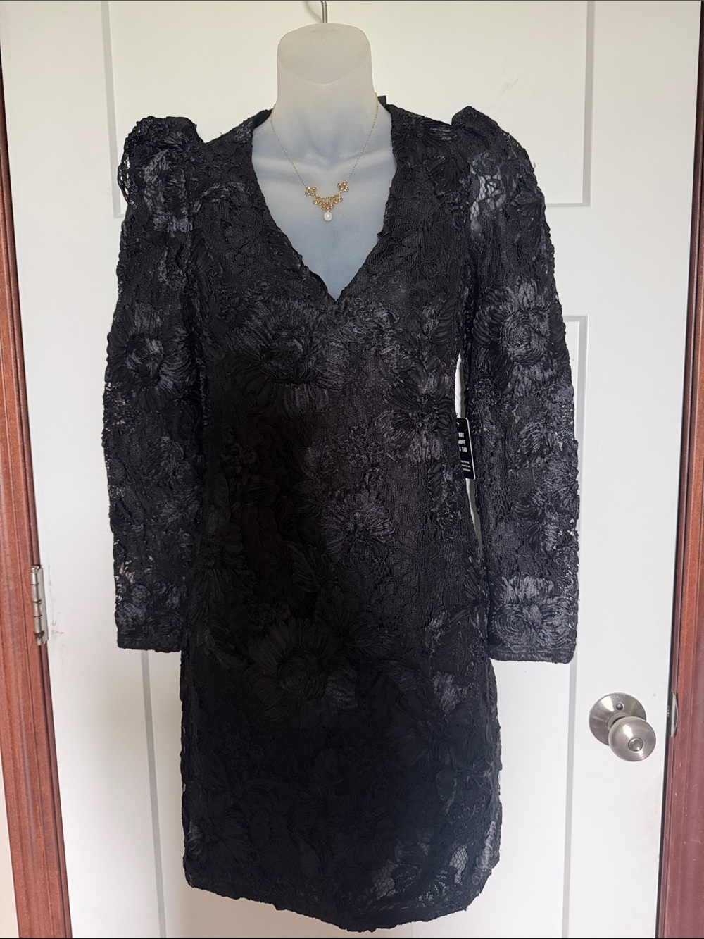 Express Black Floral Lace V-Neck Long Sleeve Dress